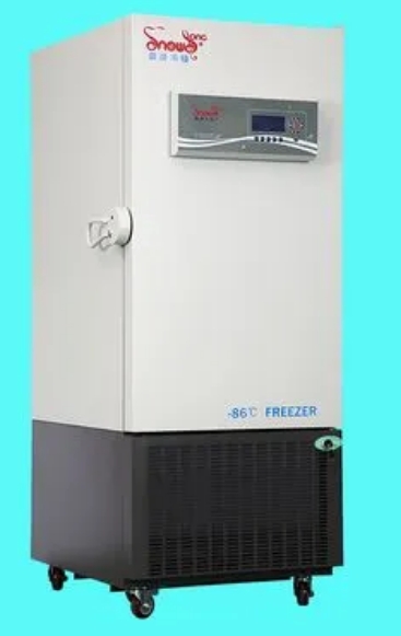 低溫保存箱 低溫保存箱